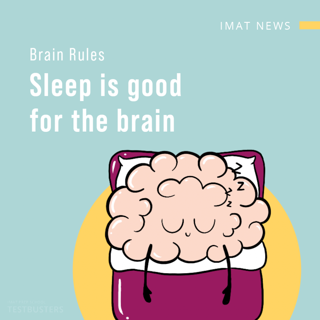 Image of a brain asleep in a bed
